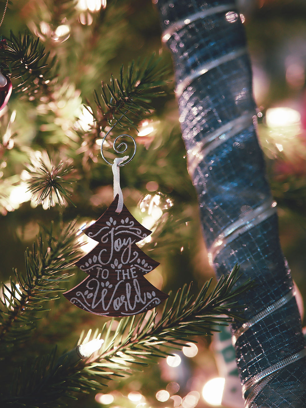 joy to the world
