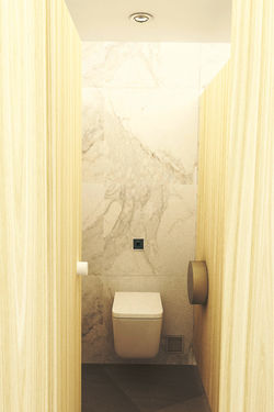 Typical Toilet