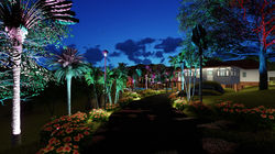 Night_Photo - 8