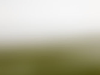 Gravel met zicht op zee: zo zag PlugPlug 't Zwin 2024 er uit