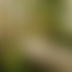 FOTO'S: wij verkenden de PlugPlug Voorkempen Marathon