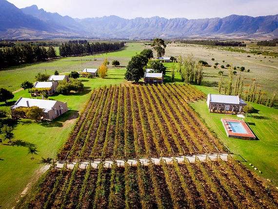 saronsberg cottages.jpeg