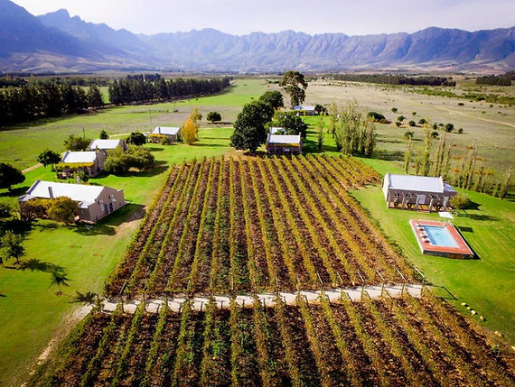 saronsberg cottages.jpeg