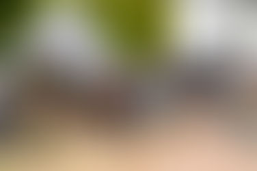 Gravelrit PlugPlug Brugse Ommeland