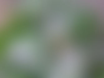 あがったり、さがったり