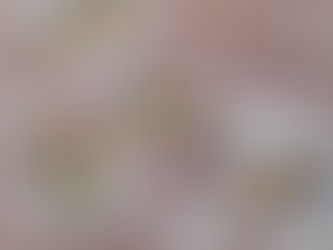 暮らしの学校さんで