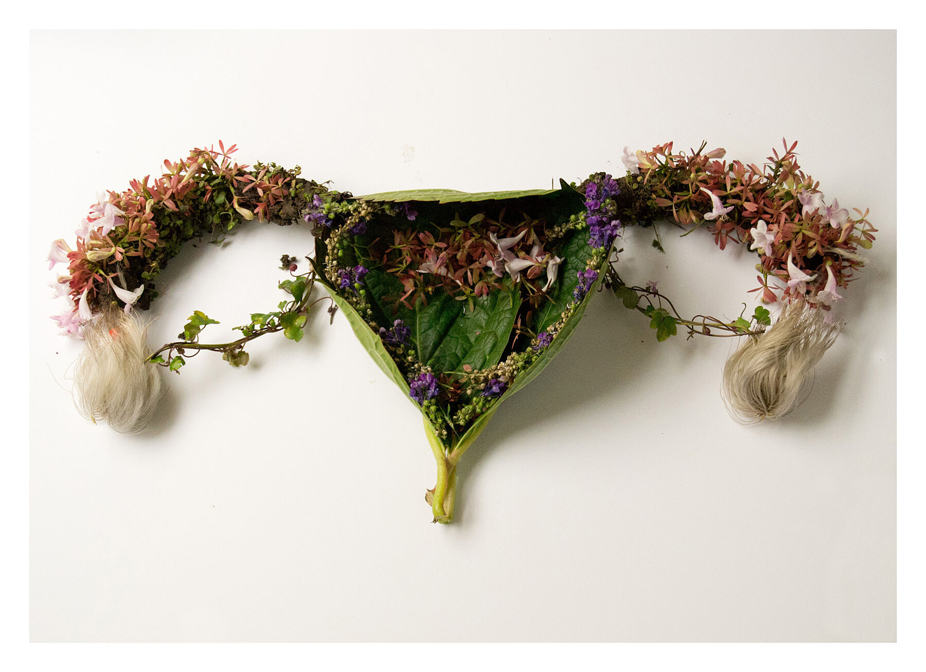 Uterus Giclée Print