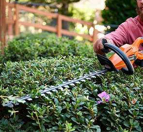 how-to-trim-hedges2023-step-4_edited.png