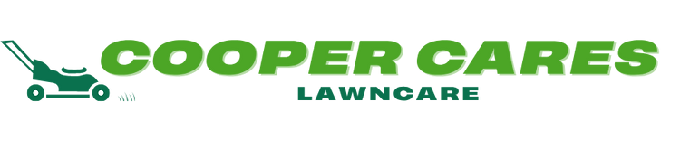 cleans (3).png
