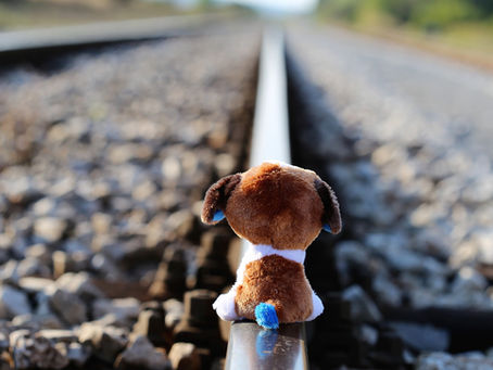 L'Art des petits pas...