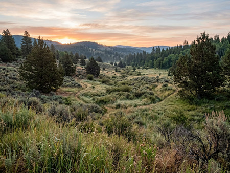 How to Find Deer in Low-Populated Areas