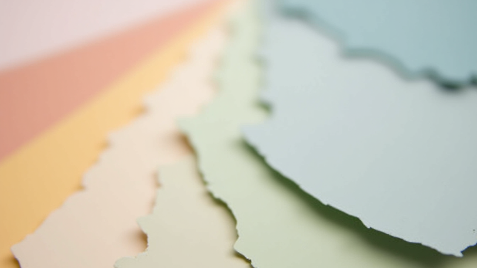 Close-up view of paint swatches in various neutral and pastel colors