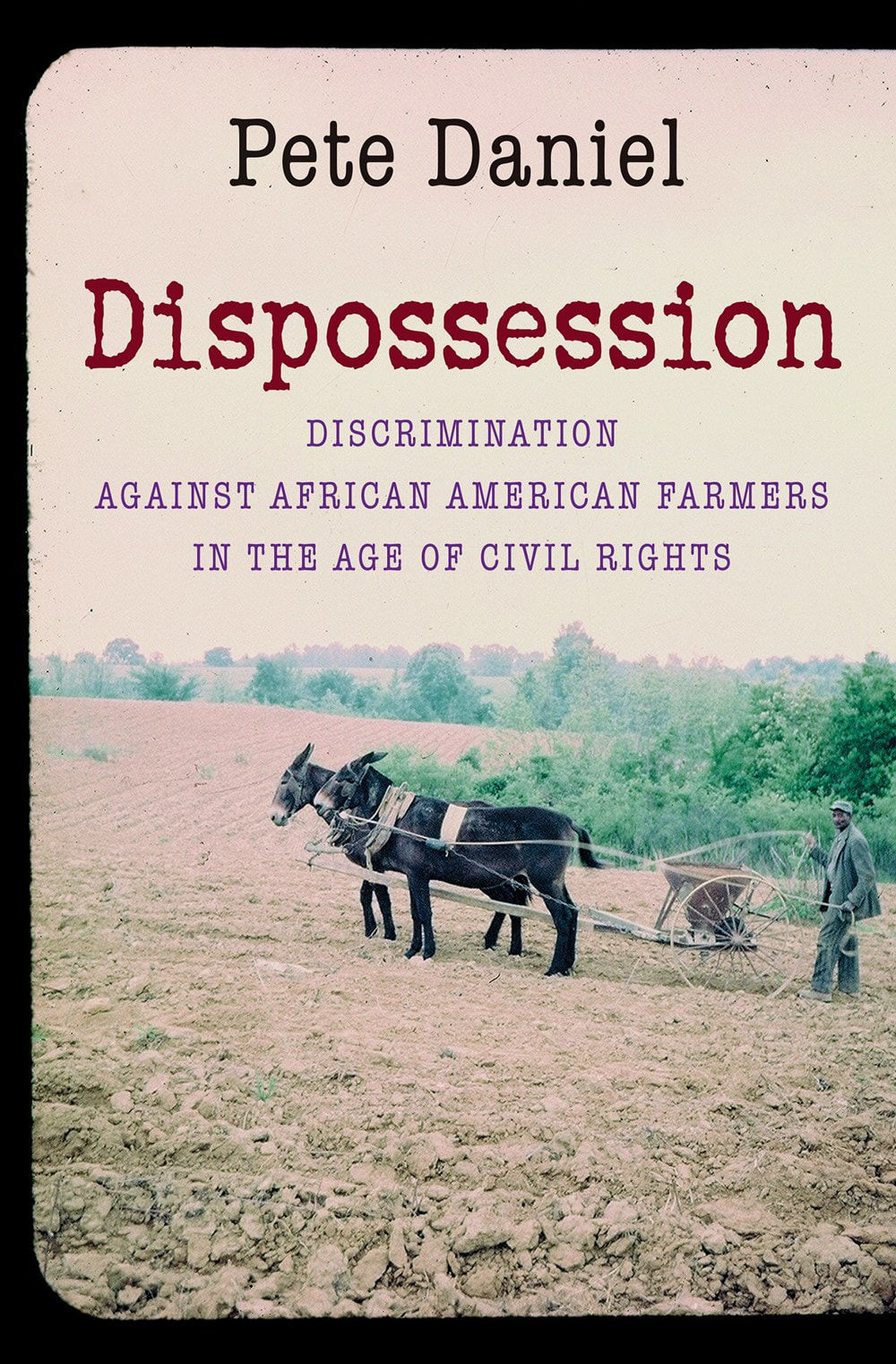 Dispossession: Discrimination Against African American Farmers in the Age of Civ