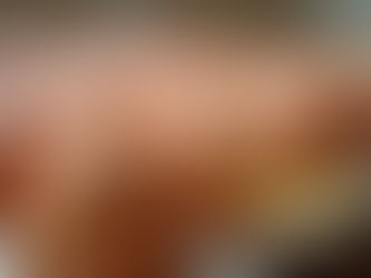 Beneficios de los Huevos Orgánicos de Avícola San Ángel