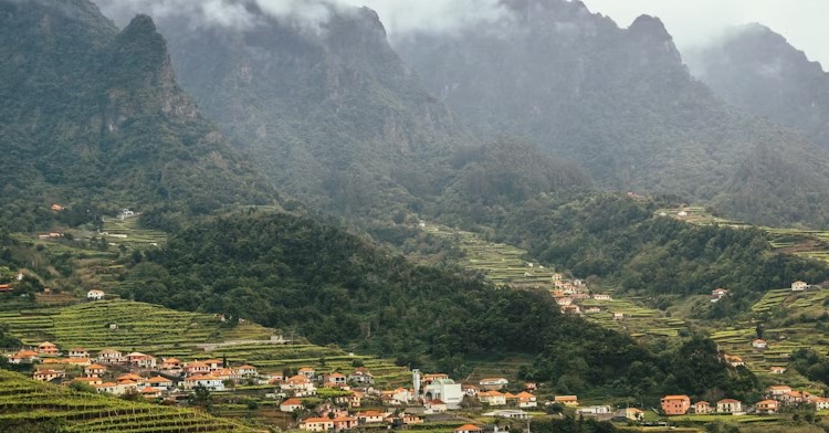 VALLE DEL CAUCA SCENE.jpg