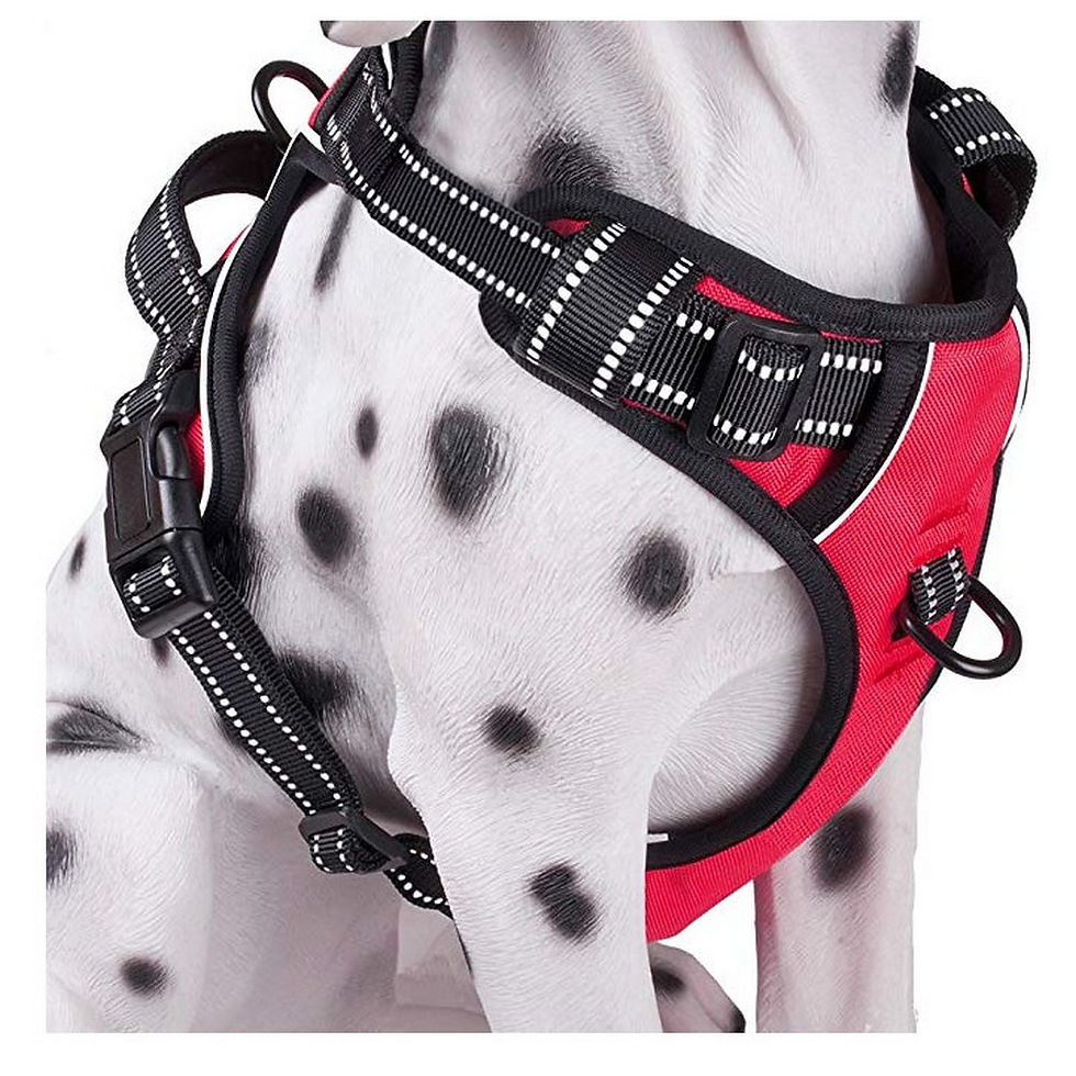 Thumbnail: Pet Dog Vest Harness Reflective Adjustable Soft Padded With Easy Control Handle