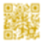 LBZ .COM PAGE QR.png