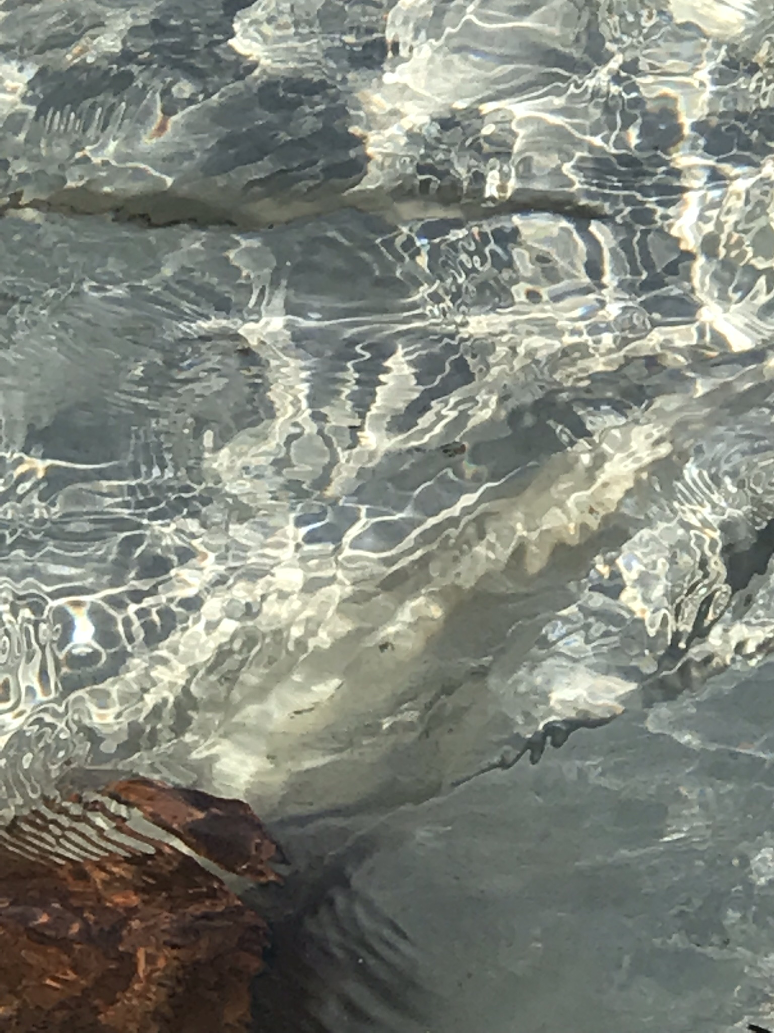 Ebb & Flow #6772