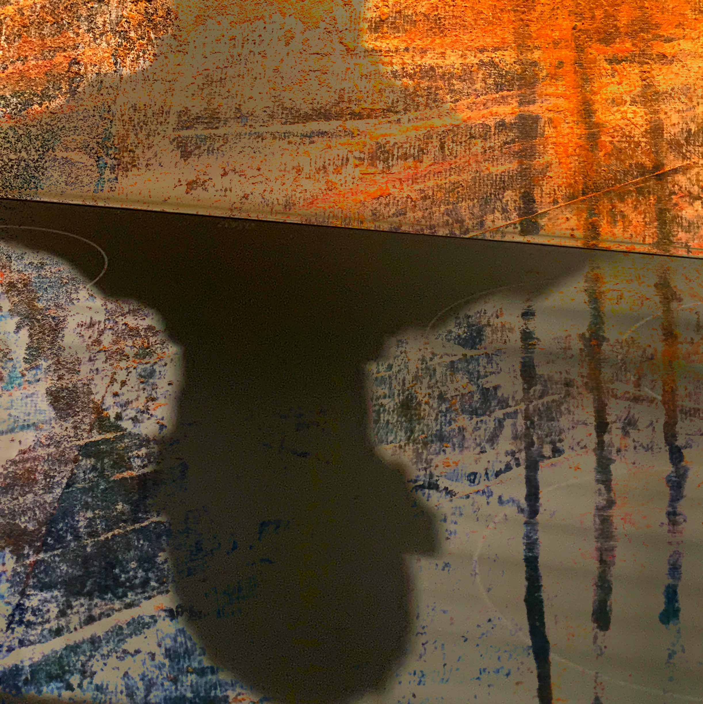 Shadows #511