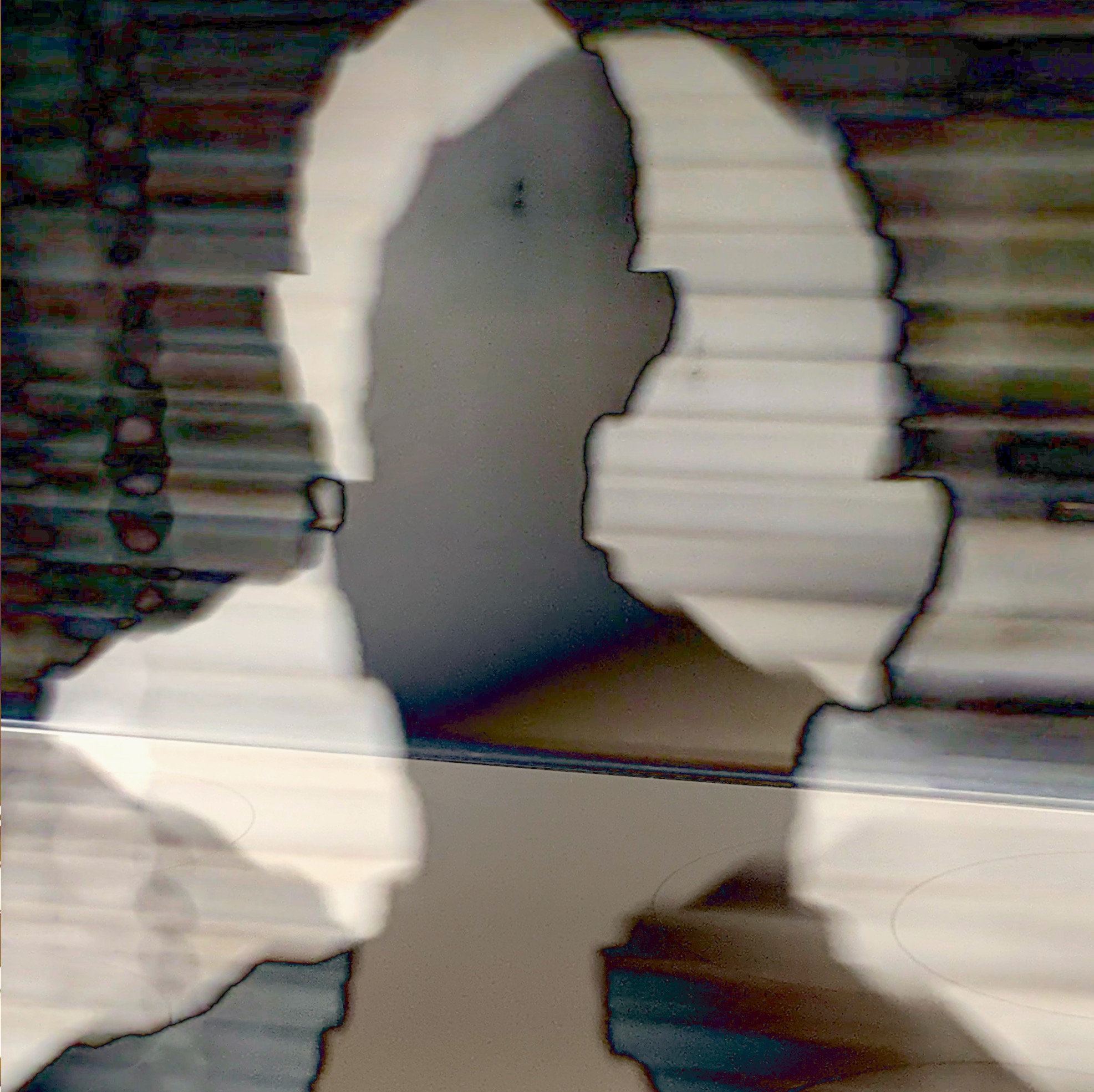 Shadows #507
