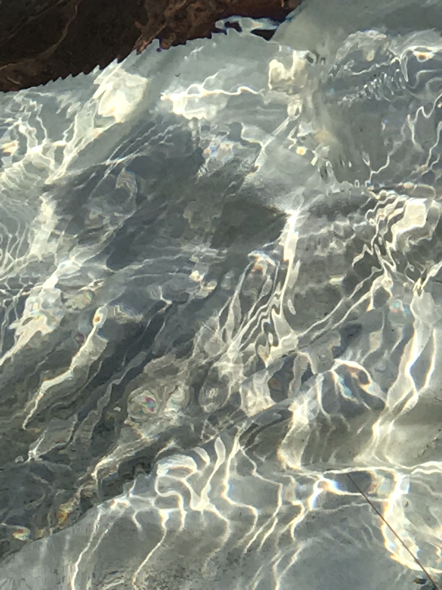 Ebb & Flow #6777