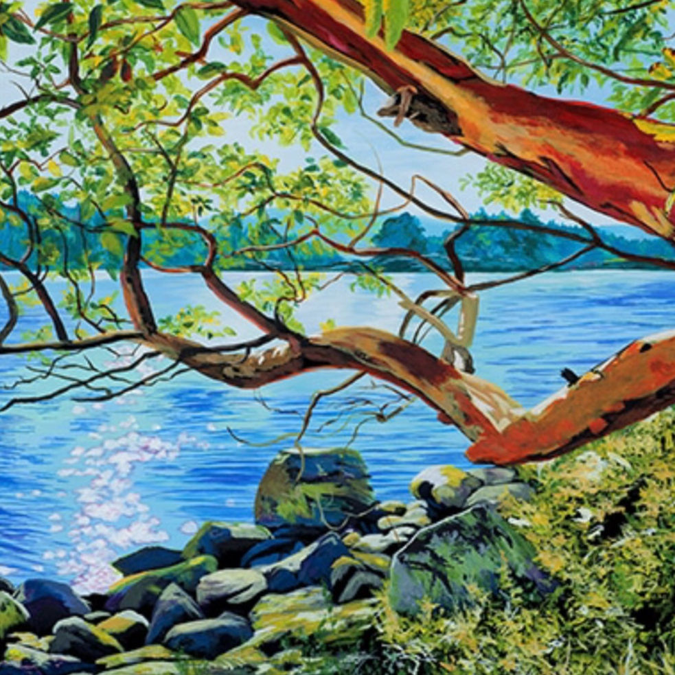 "Arbutus on Pender’s Shore" – Arbutus Tree Coastal Painting | West Coast Art