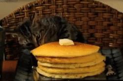 anigif_original-grid-image-17580-1387490