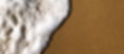 IMG_8678_edited.jpg