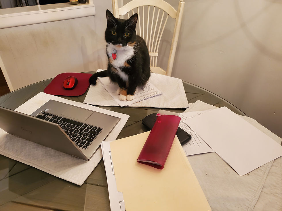 Co-Instructor: 4th Term Special Studies: Preparing to Teach