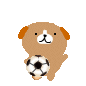 26.gif