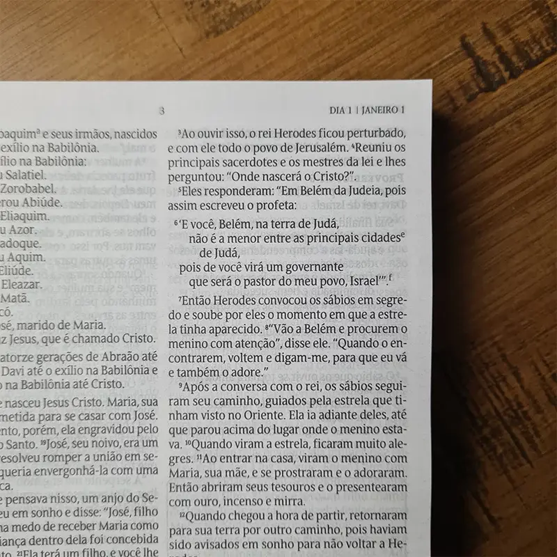 Miniatura: Bíblia 365 para Corajosas -  NVT | Letra Grande | Capa Brochura