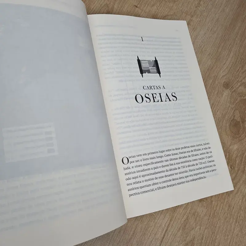 Miniatura: As Cartas Perdidas Aos Doze Profetas | John Goldingay