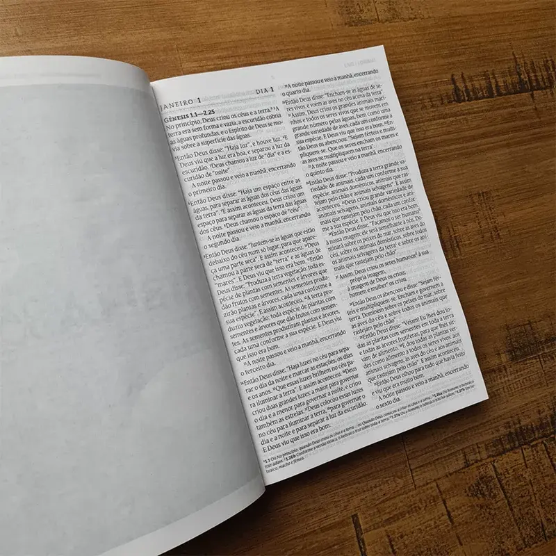 Miniatura: Bíblia 365 para Corajosas -  NVT | Letra Grande | Capa Brochura