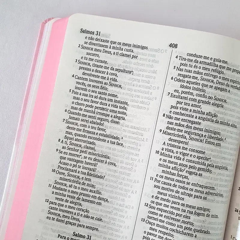 Miniatura: Biblia Asas do Pensamento - NVI | Capa Dura