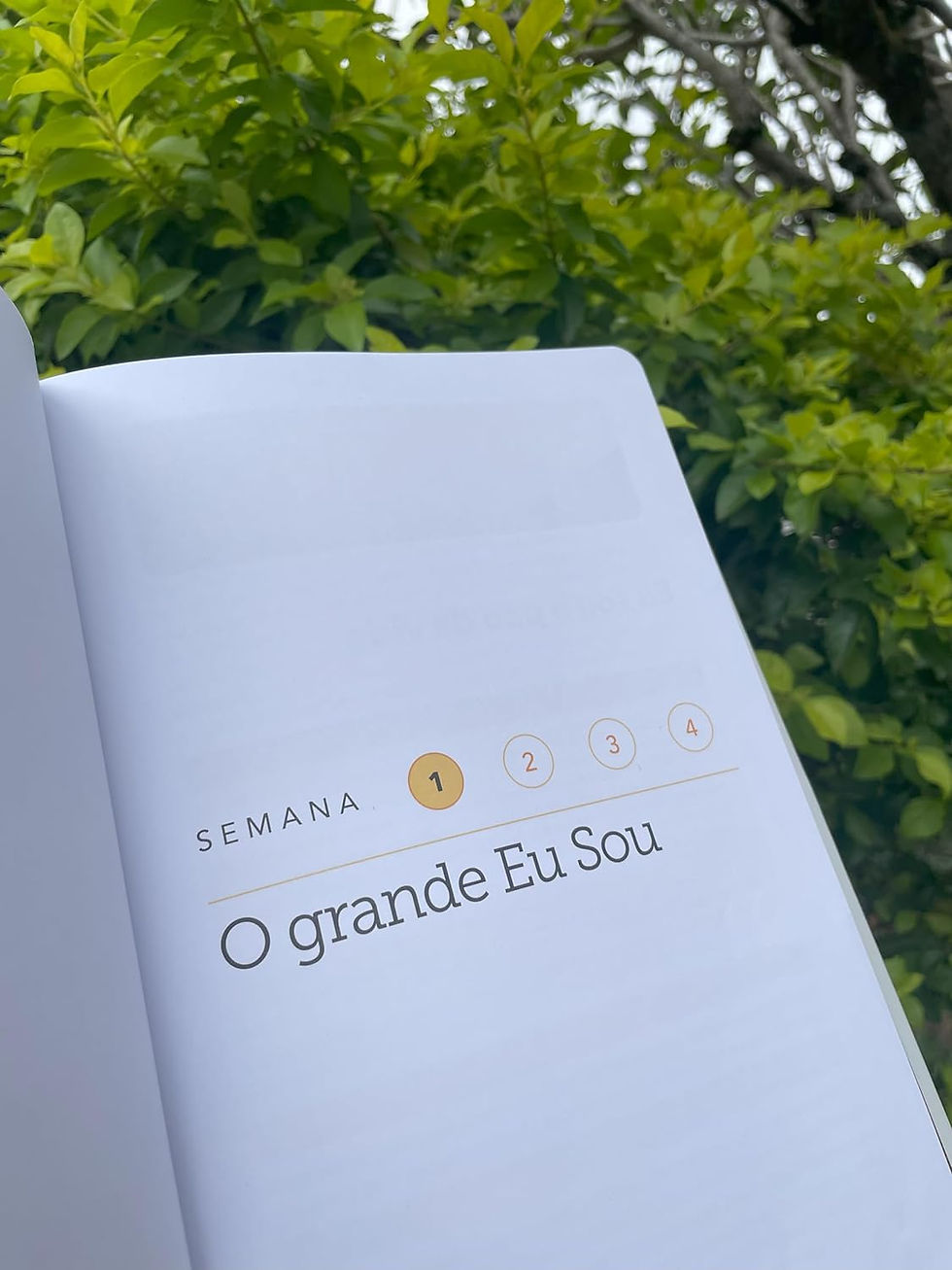 Miniatura: Glorify - Devocional