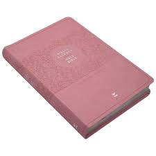 Bíblia Sagrada / Cpa PU Rosa Claro / Português - Inglês / NVI