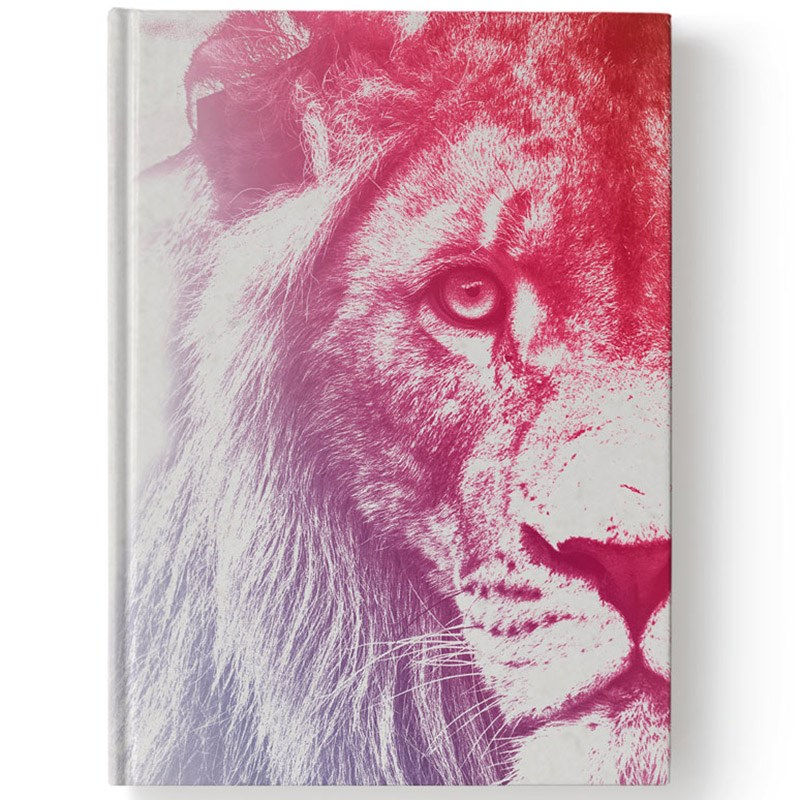 Bíblia Sagrada Rei das Nações / NVT / Letra Normal / Capa Dura