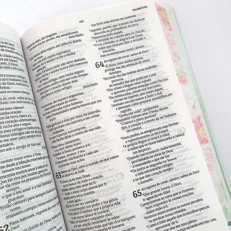 Miniatura: Bíblia Clássica Virtuosa | NVT | Letra Normal | Capa Dura
