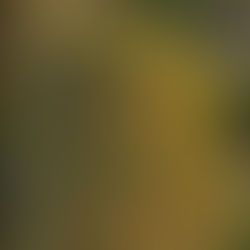 Sustentabilidade e Inovação: Domos Geodésicos em Ambientes Naturais