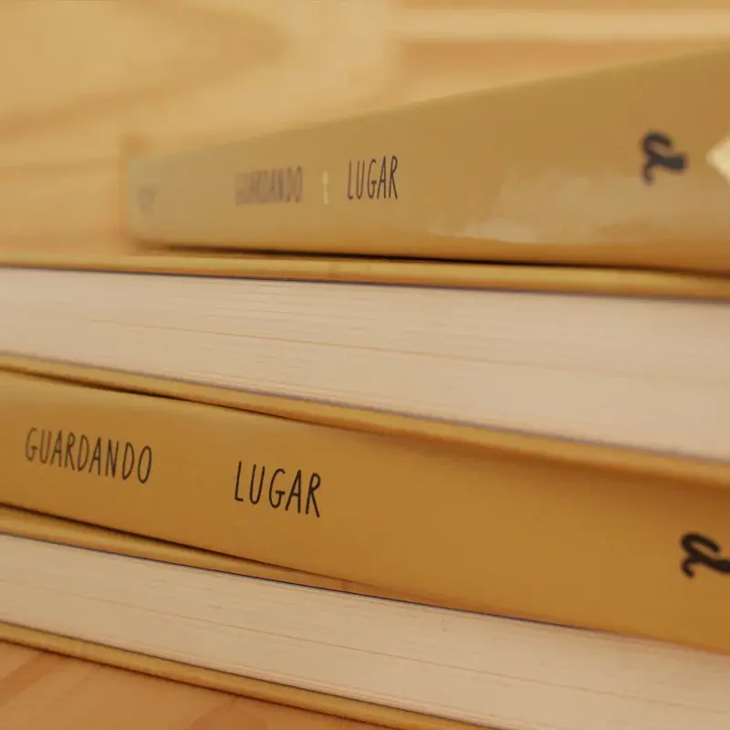 Miniatura: Guardando Lugar / Jen Pollock Michel