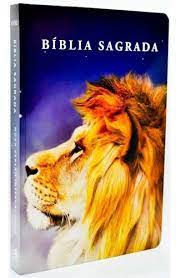 Biblia Sagrada / NVI / Capa Dura Leão / Roxo Laranja / Art Gospel
