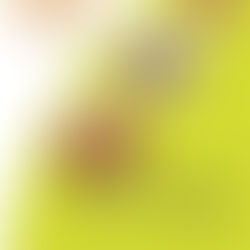 HACCP: IL METODO PER MIGLIORARE LA SALUBRITA' DEGLI ALIMENTI E PREVENIRE MALATTIE