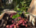 5cb76f657317e1482a8e12207f5a3cd4cf2d8086e2665a78c5c5ba9ec5e4fb05-I.png