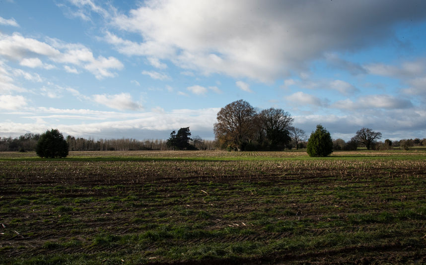 ARC_8297.jpg