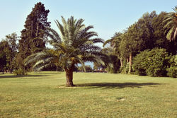 04A_Parco%20Nervi_edited