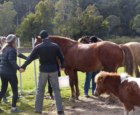 EASD Herd Business Program