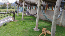 PHOTO-2025-01-12-12-45-13