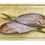 Thumbnail: Yellowtail Snapper Whole