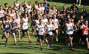 September 7-2026_H.S. boys' cross country_2026 preview capsules.png