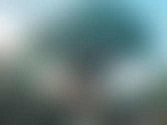 Taking Toddlers To Disney - Animal Kingdom